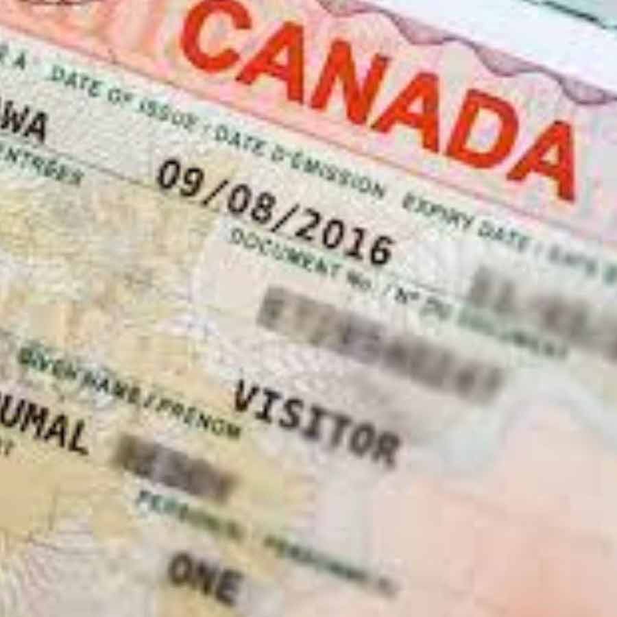 Canada eyes Indian talents amid H-1B visa fee hike to 100K dollar by Donald Trump