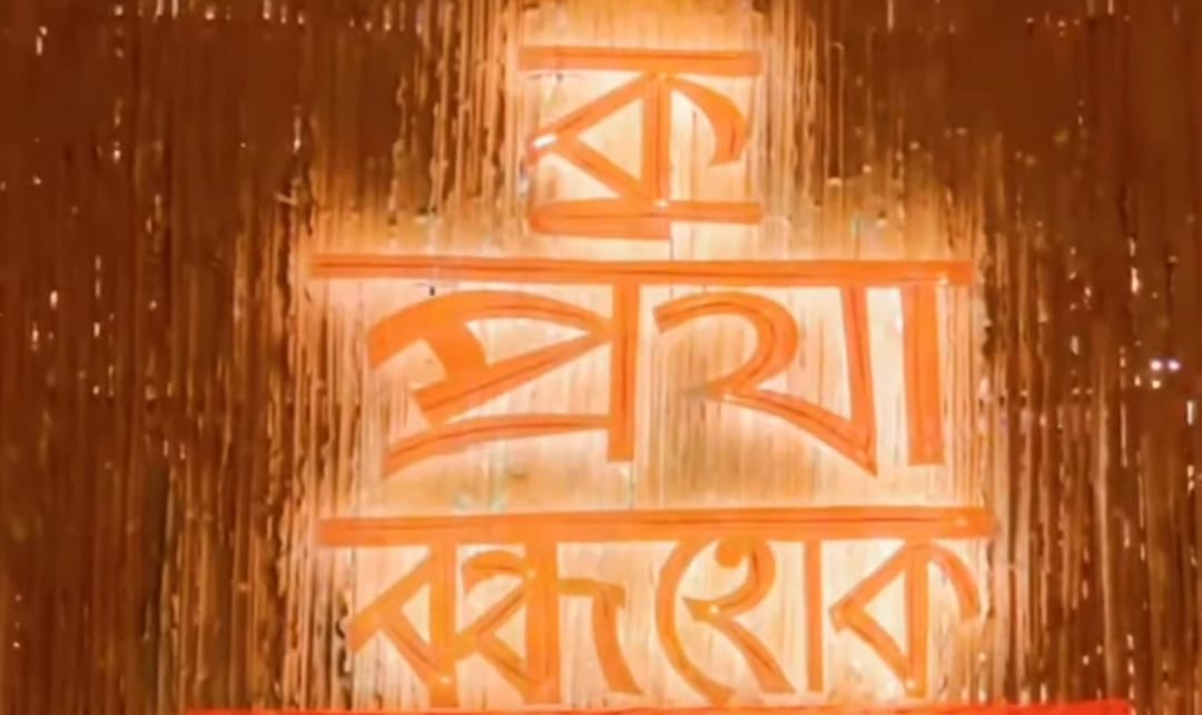সংগৃহীত চিত্র।