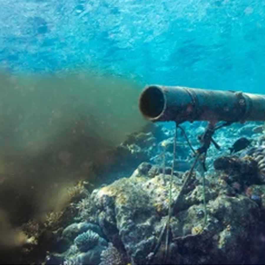 Union Petroleum Minister announces discovery of natural gas in Andaman Sea, what are the possible outcome