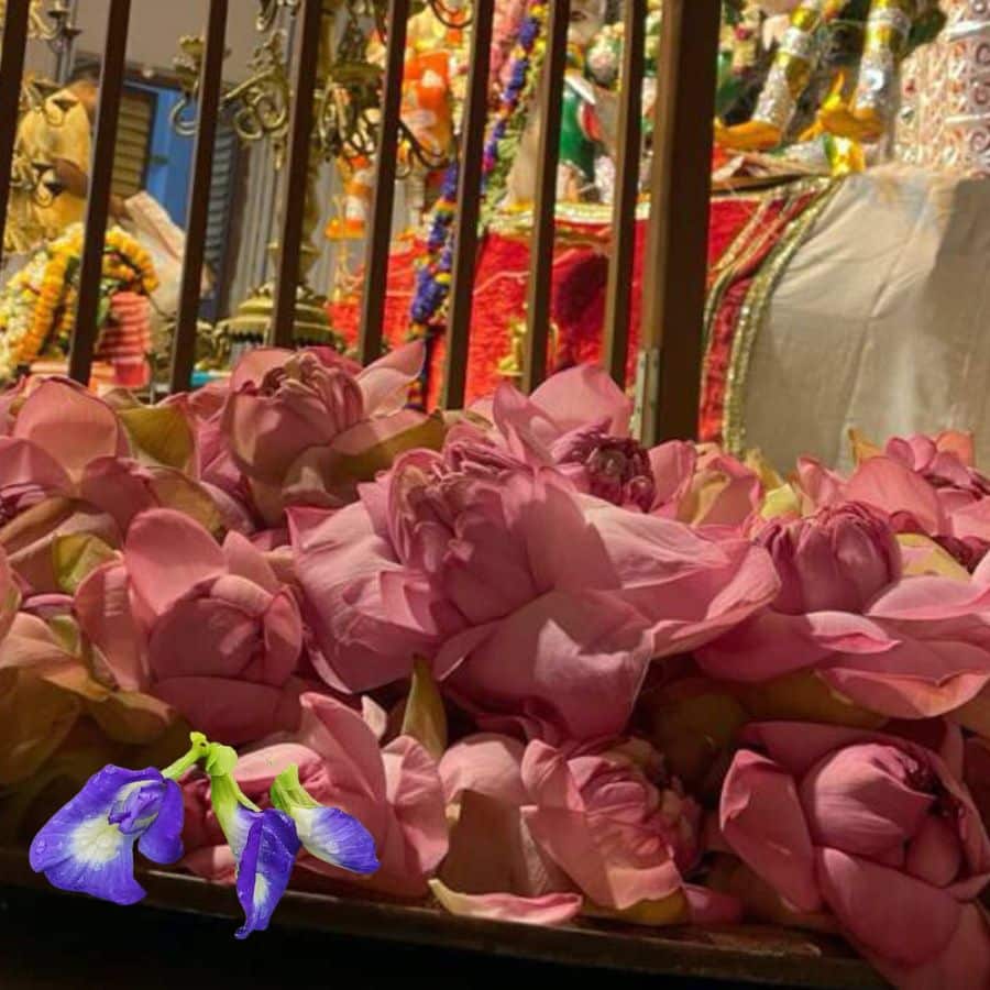 এই দিনে দেবীকে ৮টি পদ্মফুল অর্পণ করুন। কেবল পদ্ম নয়, এ দিন অবশ্যই দেবীকে অপরাজিতা ফুলও দেবেন। অর্পণ করুন ১০৮টি বেল পাতা। 