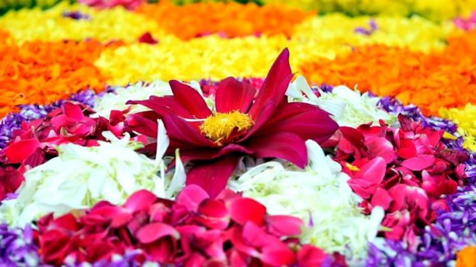 এই বিশেষ দিনটিতে পাঁচটি গোলাপের পাপড়ির দু’দিকে মধু মাখিয়ে দেবীর কাছে রেখে আসুন। এতে শুভ ফল পাবেন। 