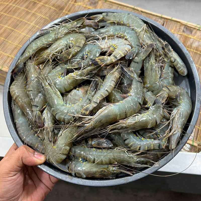 চিংড়ি মাছ ভাল করে পরিষ্কার করে এবং ধুয়ে সামান্য নুন ও হলুদ গুঁড়ো দিয়ে মিহি করে বেটে নিন অথবা মিক্সিতে কিমা করে নিন। কিমায় যেন জল না থাকে, সে দিকে খেয়াল রাখবেন।