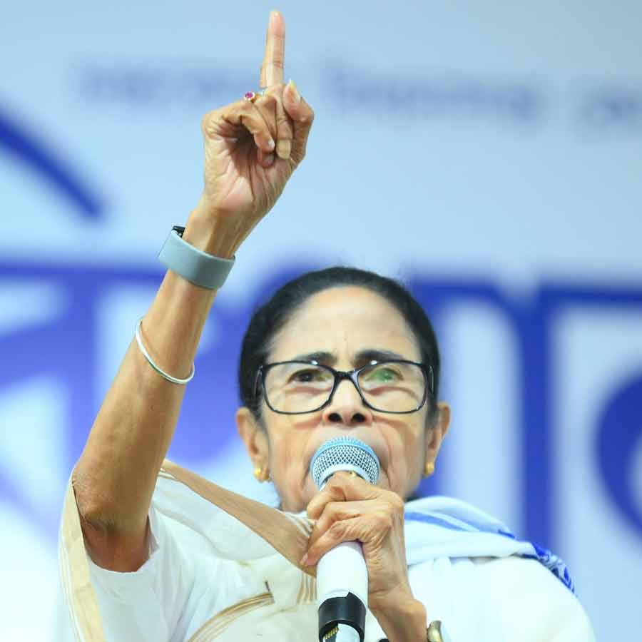 মমতা বন্দ্যোপাধ্যায়। মুর্শিদাবাদের নবগ্রামের জনসভায়।