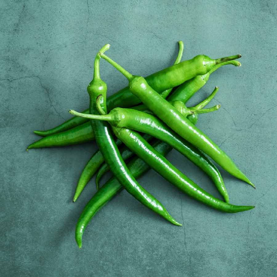 কাঁচালঙ্কা কী ভাবে টাটকা রাখবেন।