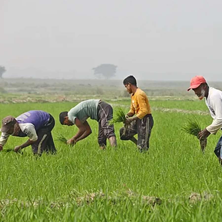 Meet IAS Officer of Maharashtra Who Got 24 Transfers in 21 Years of service