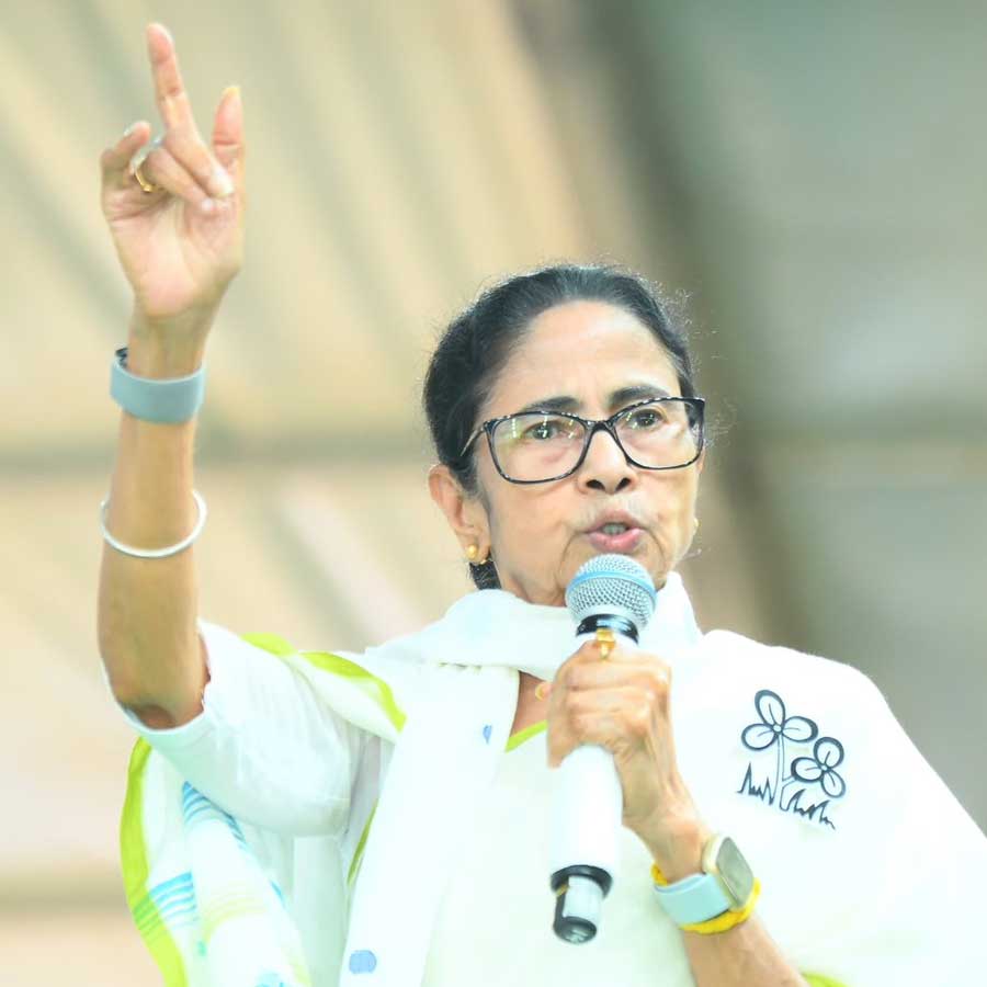 মুর্শিদাবাদের সাগরদিঘির জনসভায় মুখ্যমন্ত্রী মমতা বন্দ্যোপাধ্যায়।