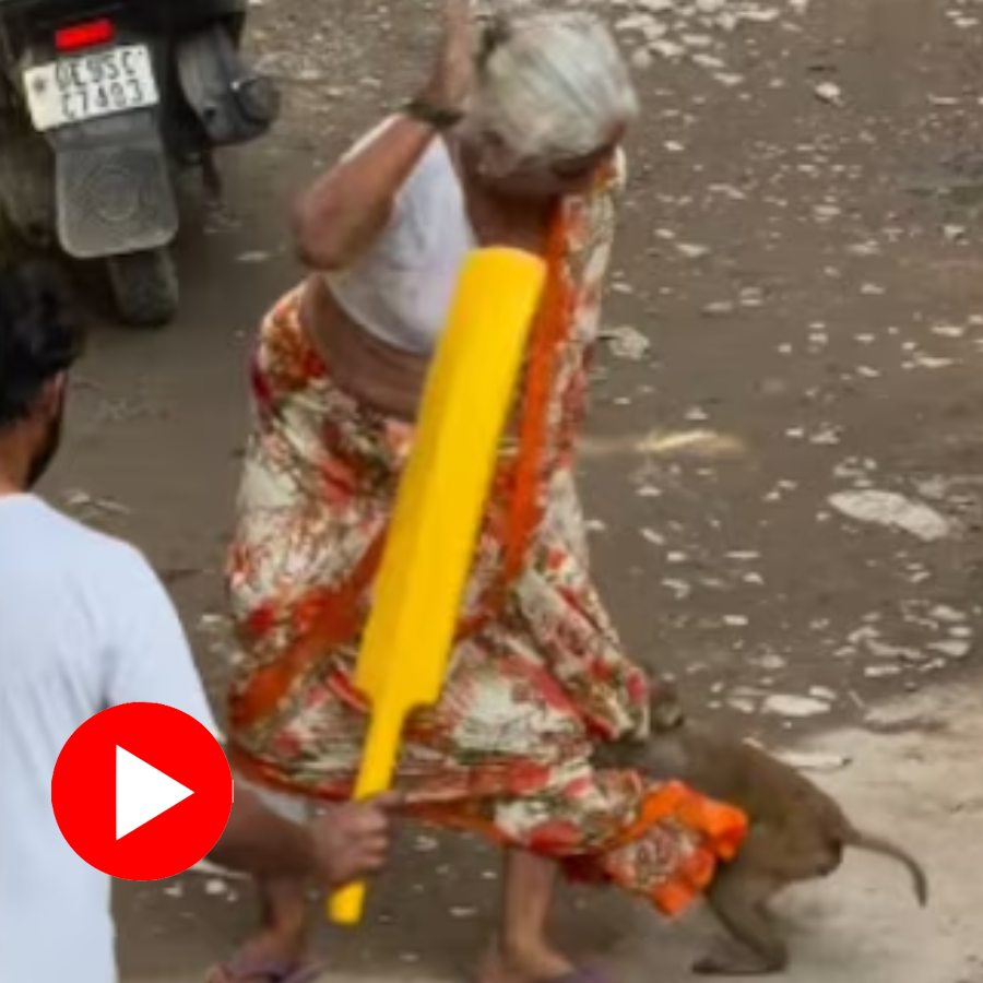 Video shows brawl between old woman and a monkey in Delhi