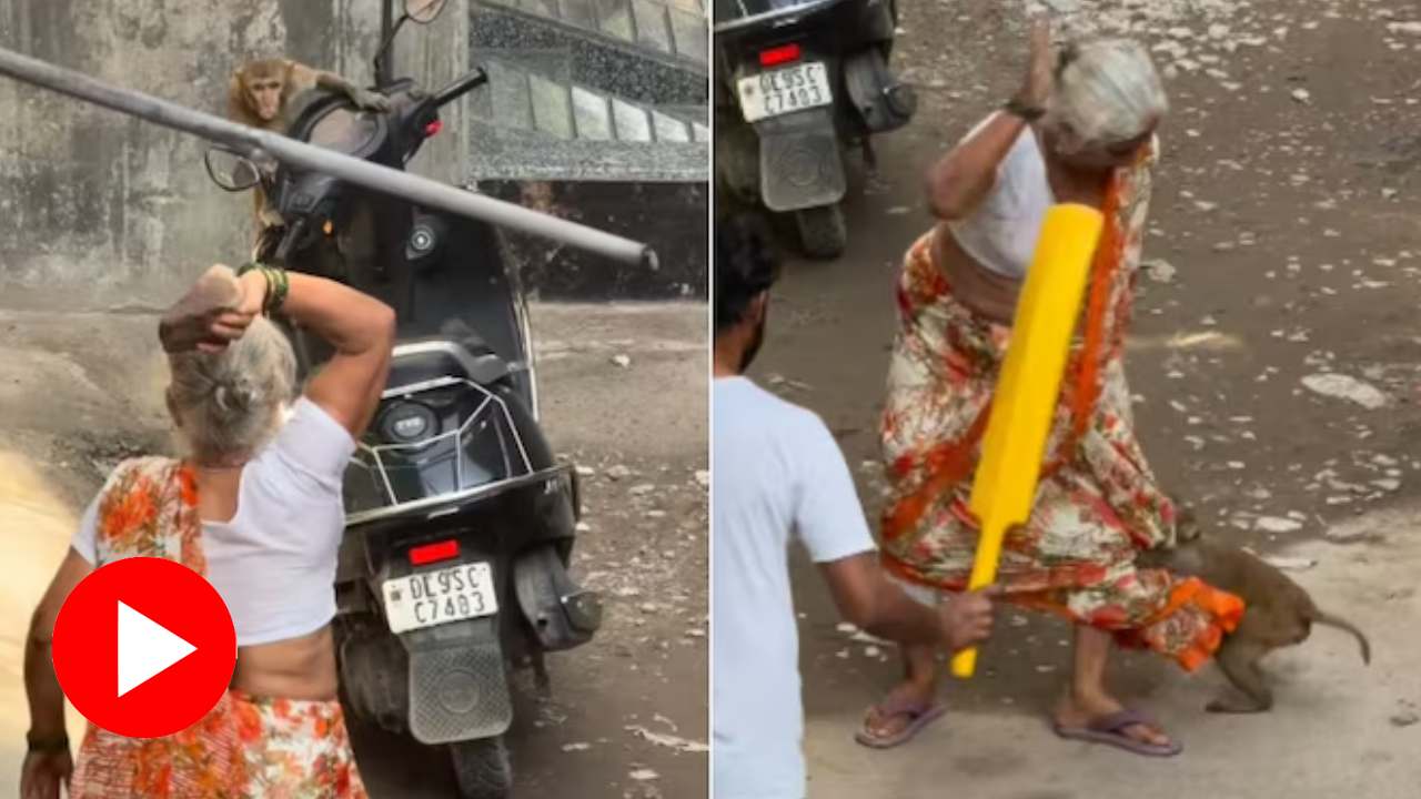 Video shows brawl between old woman and a monkey in Delhi