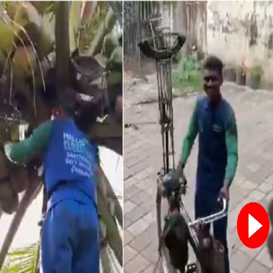 The video shows a trained worker from the startup to scale tall coconut trees safely and efficiently in Kerala dgtl