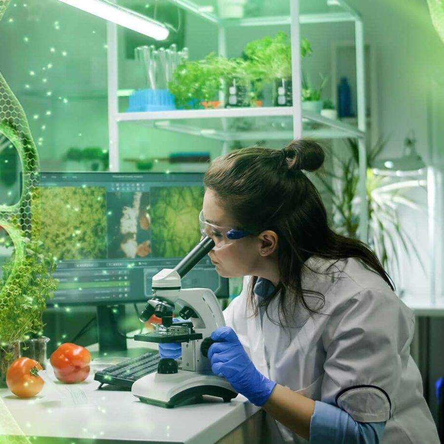 National Testing Agency released the application details of Graduate Aptitude Test Biotechnology and Biotechnology Eligibility Test  Dgtl