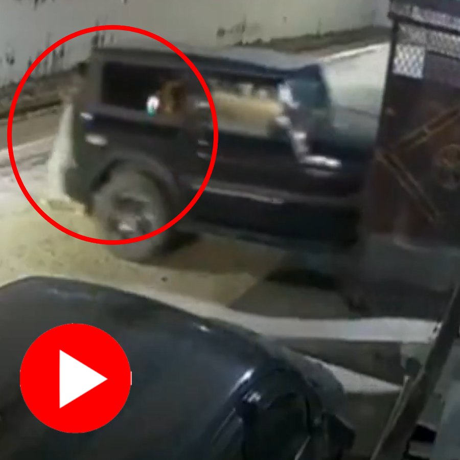 Video shows senior citizen dies after parked car rolls back