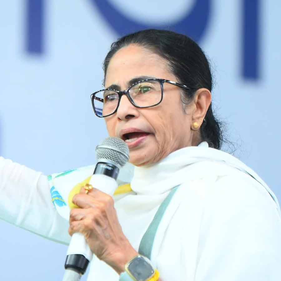 তৃণমূলনেত্রী মমতা বন্দ্যোপাধ্যায়।