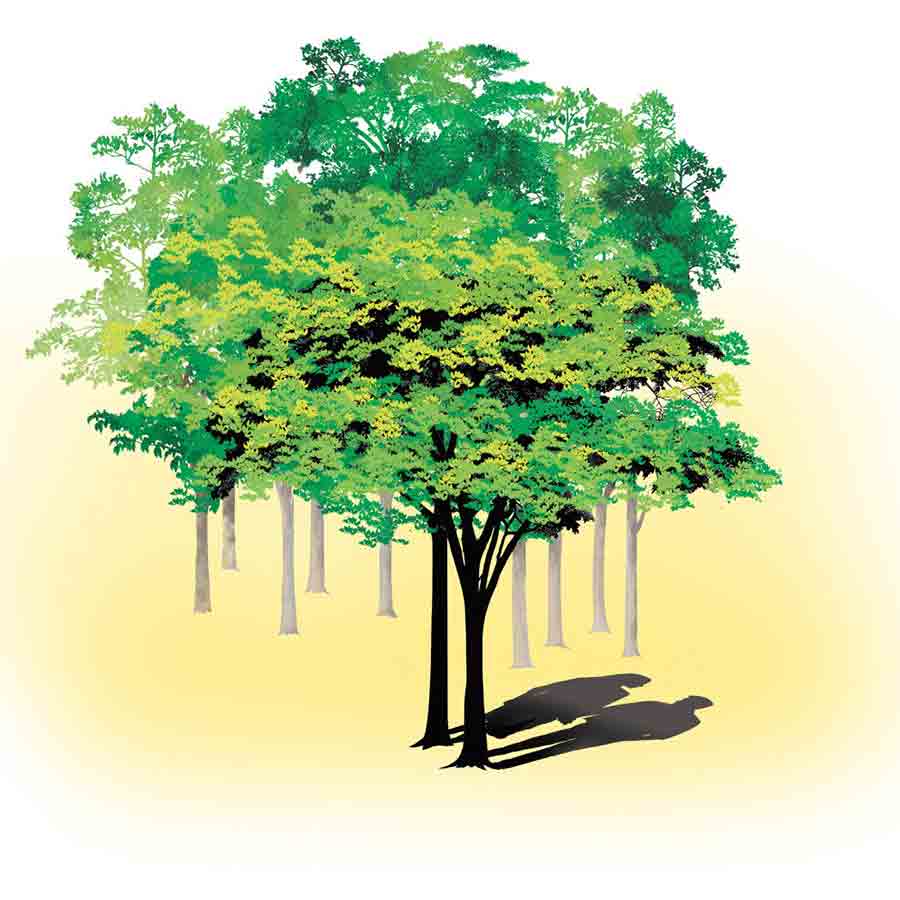 ছবি: অমিতাভ চন্দ্র।