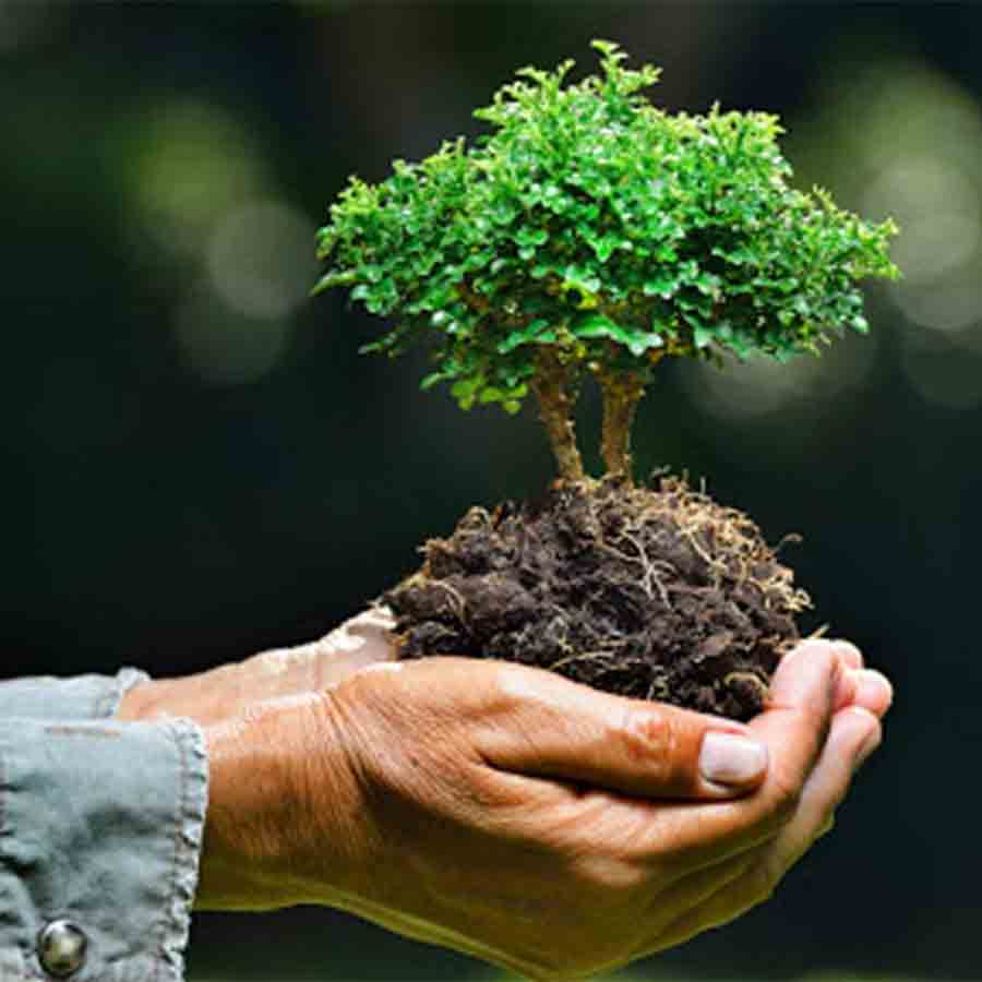 —প্রতিনিধিত্বমূলক ছবি।