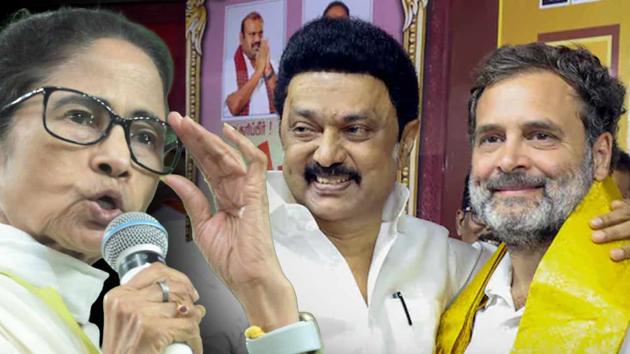 (বাঁ দিক থেকে) তৃণমূলনেত্রী মমতা বন্দ্যোপাধ্যায়, ডিএমকে প্রধান এমকে স্ট্যালিন এবং কংগ্রেস নেতা রাহুল গান্ধী।