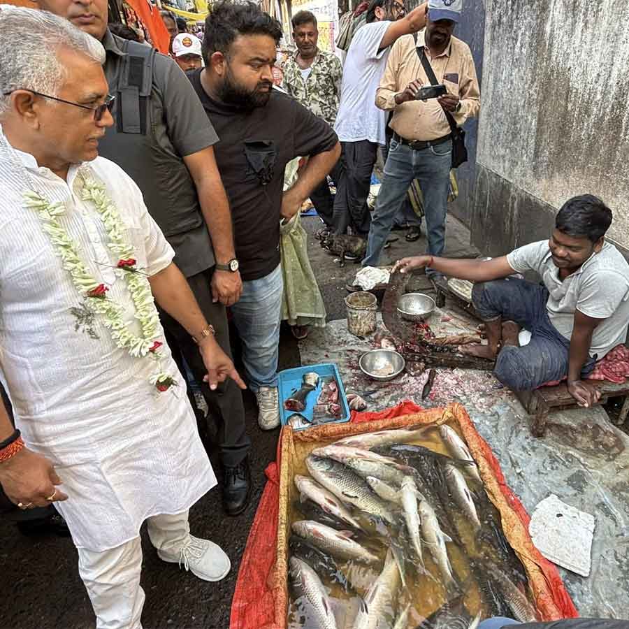 BJP wants to assure no interference in Bengali’s food habits, Candidates are instructed to show fondness for fish during campaign dgtls
