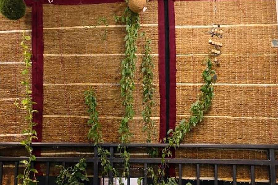 বারান্দাও ঢেকে দিতে পারেন এমন পর্দা দিয়ে।