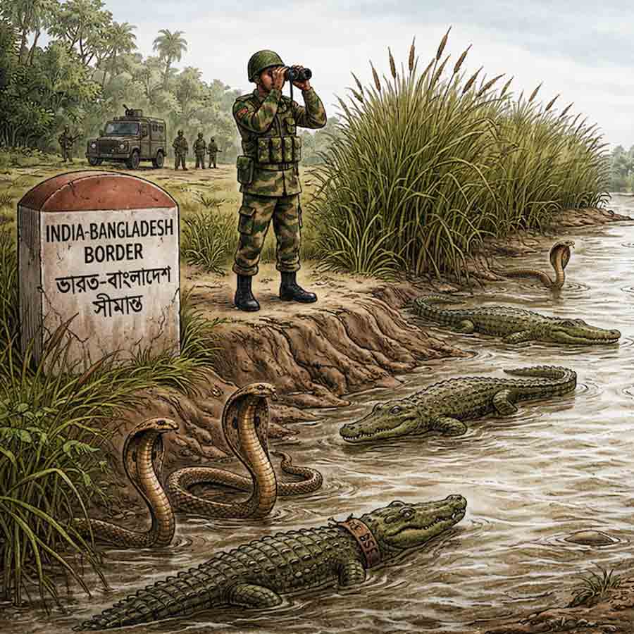 BSF Mulls Deploying Snakes, Crocodiles at Border  for Surveillance