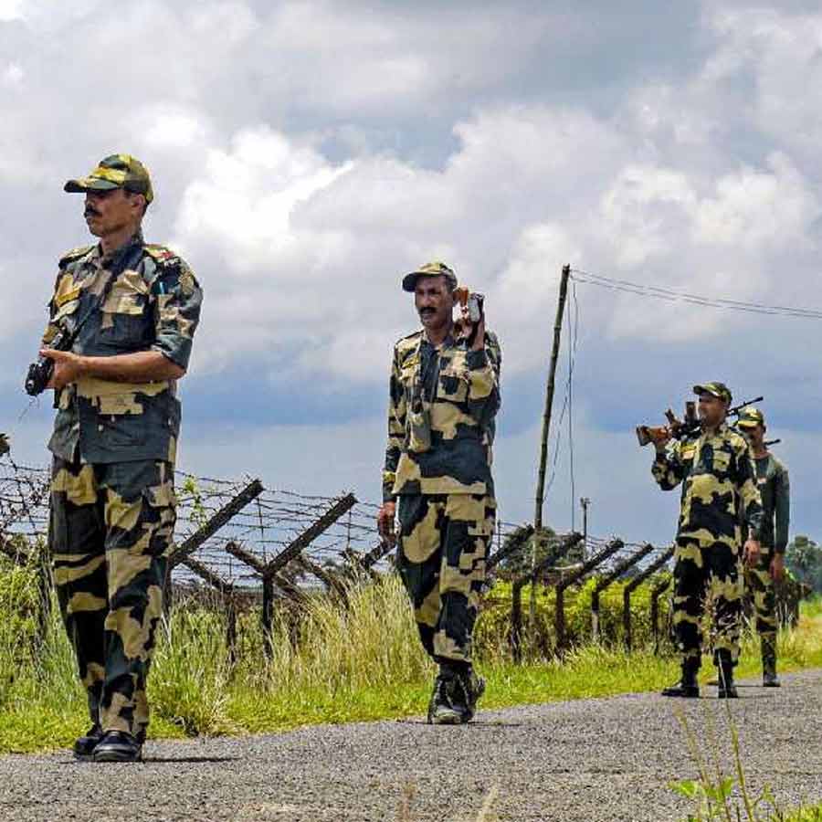 BSF Mulls Deploying Snakes, Crocodiles at Border  for Surveillance