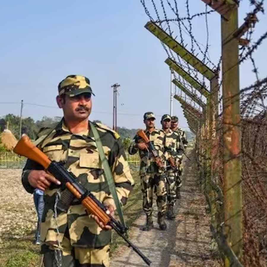 BSF Mulls Deploying Snakes, Crocodiles at Border  for Surveillance
