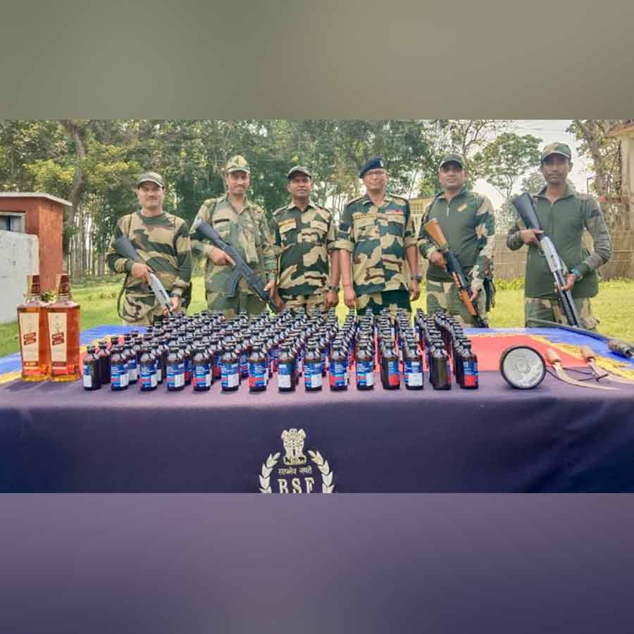 BSF Mulls Deploying Snakes, Crocodiles at Border  for Surveillance