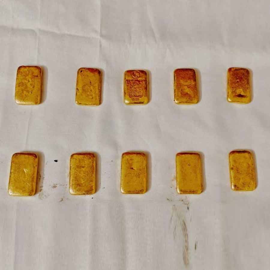 BSF Mulls Deploying Snakes, Crocodiles at Border  for Surveillance