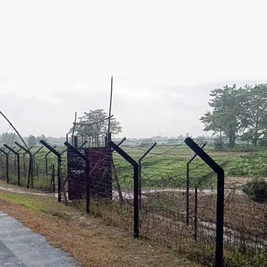 BSF Mulls Deploying Snakes, Crocodiles at Border  for Surveillance