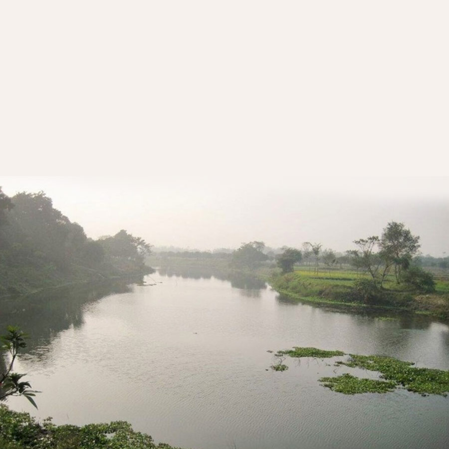 BSF Mulls Deploying Snakes, Crocodiles at Border  for Surveillance