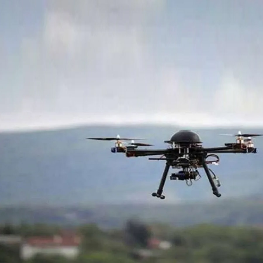 BSF Mulls Deploying Snakes, Crocodiles at Border  for Surveillance