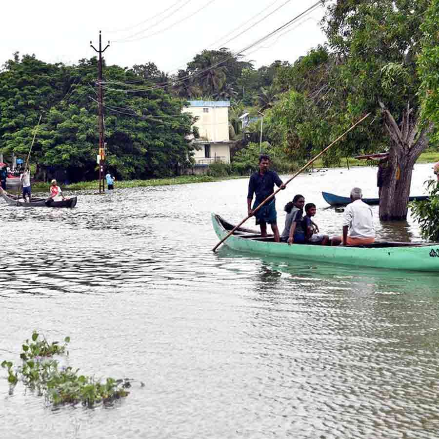 BSF Mulls Deploying Snakes, Crocodiles at Border  for Surveillance