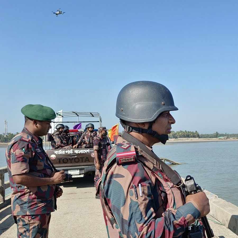 BSF Mulls Deploying Snakes, Crocodiles at Border  for Surveillance