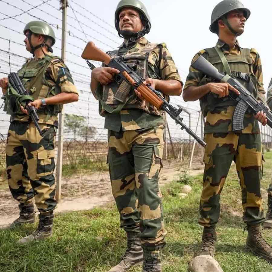 BSF Mulls Deploying Snakes, Crocodiles at Border  for Surveillance