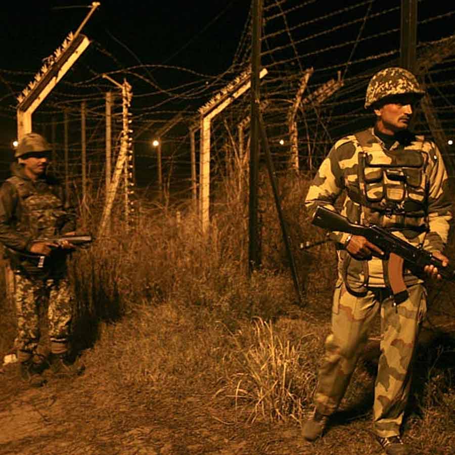 BSF Mulls Deploying Snakes, Crocodiles at Border  for Surveillance