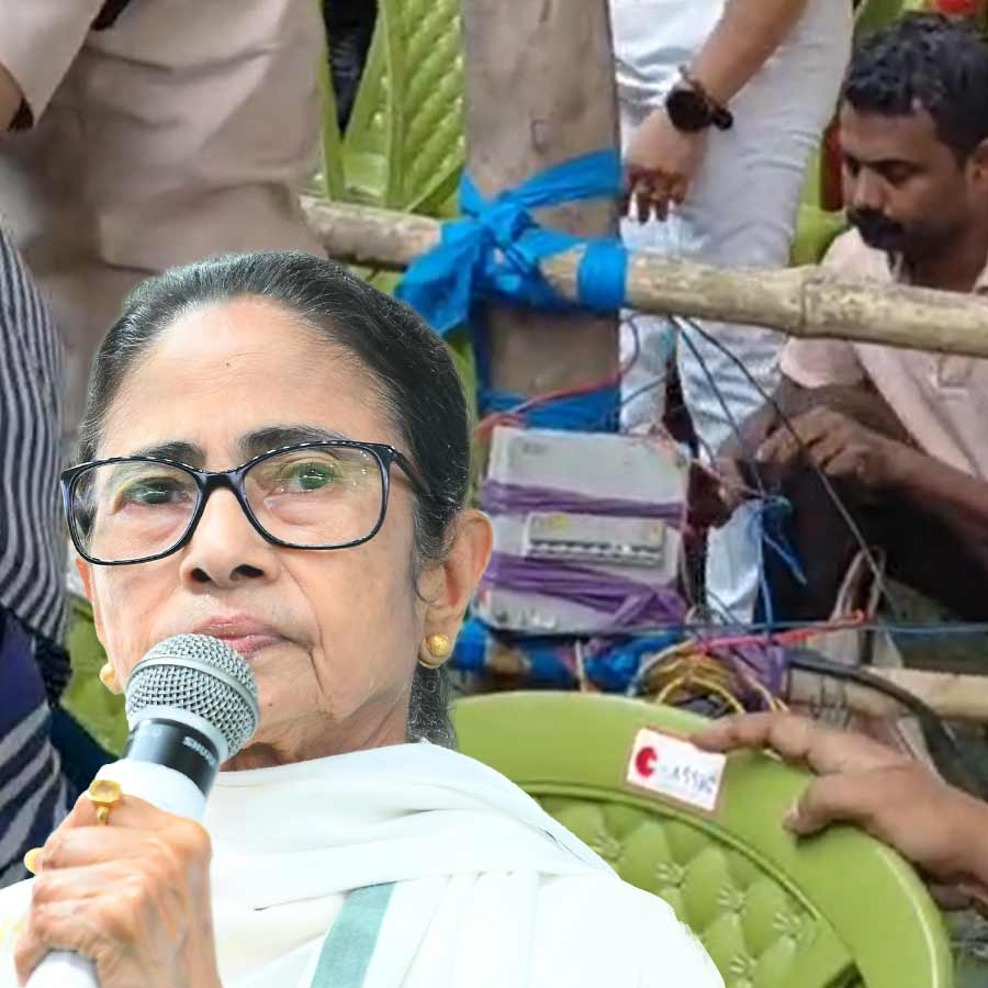 তৃণমূলনেত্রী মমতা বন্দ্যোপাধ্যায়।