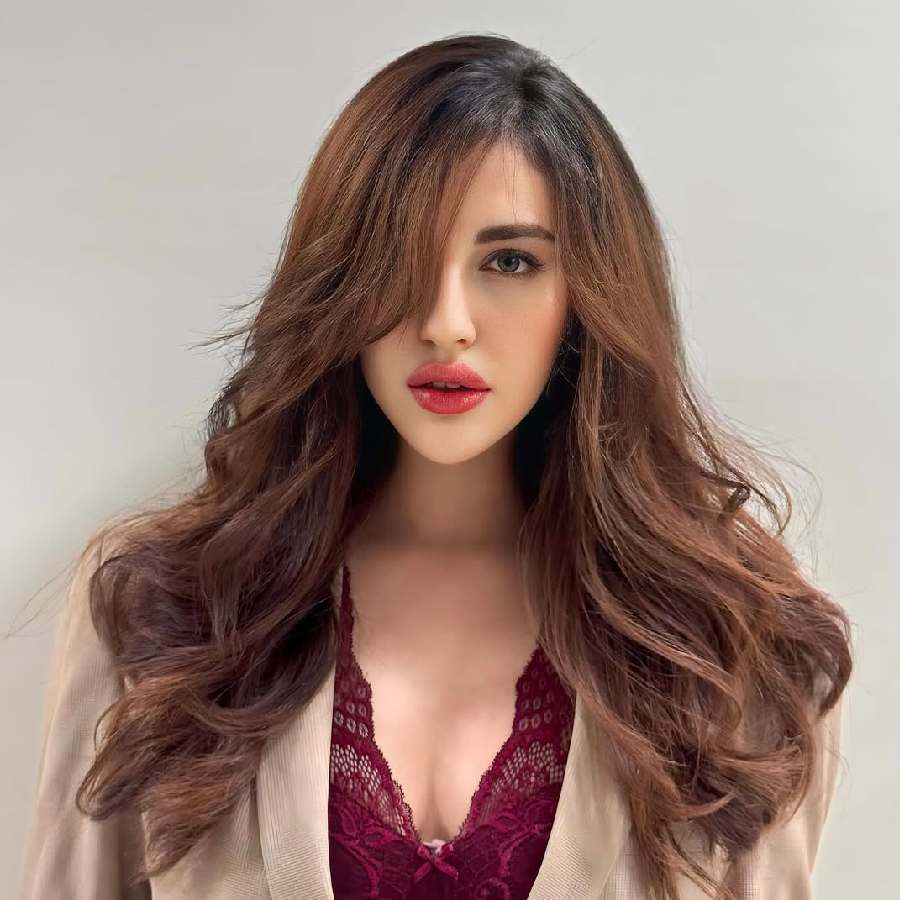 Indian actress and Indian Actress Samreen Kaur Rumoured to Be Dating Cricketer Arshdeep Singh