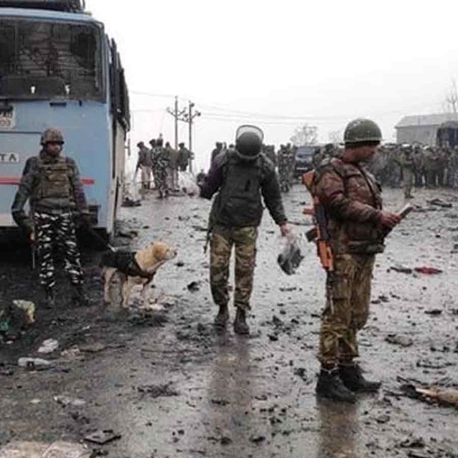 How does India defeat Pakistan in Himalayan pink salt business though its mines are in Islamabad 