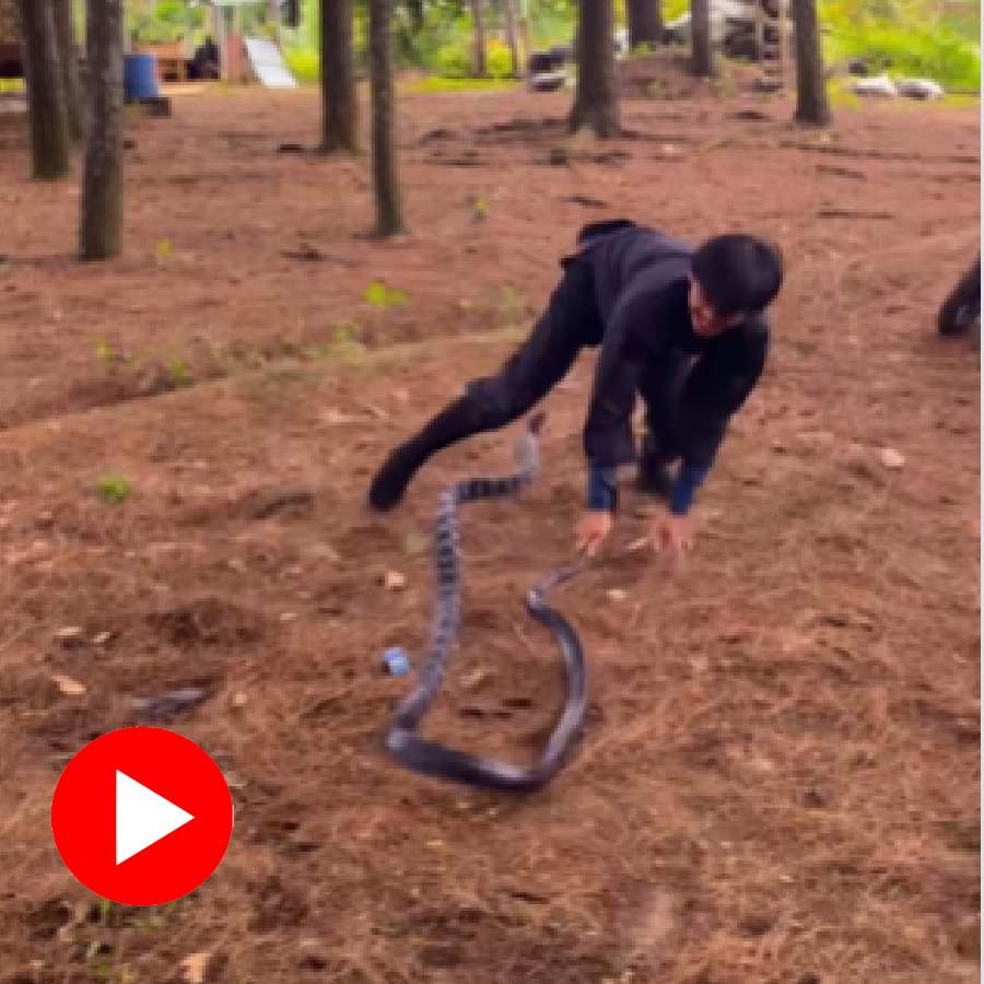 Video shows man playing with snake in a bizarre way
