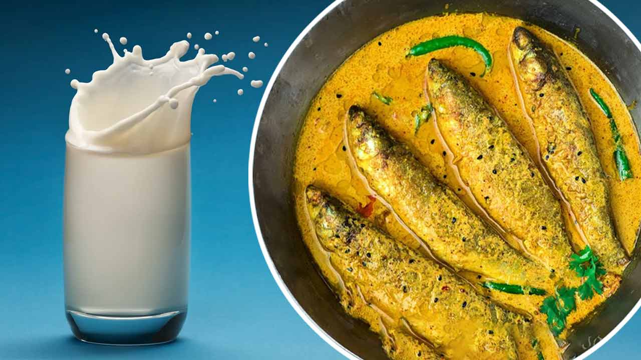 মাছ খাওয়ার পর দুধ খাওয়া কি স্বাস্থ্যকর?