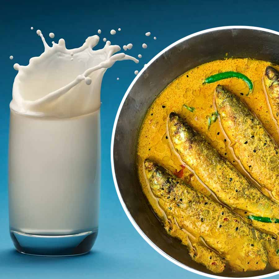 Is it safe to have milk after eating any fish recipe dgtl