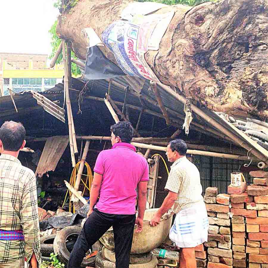 Homes and shops destroyed due to storm at Tehatta