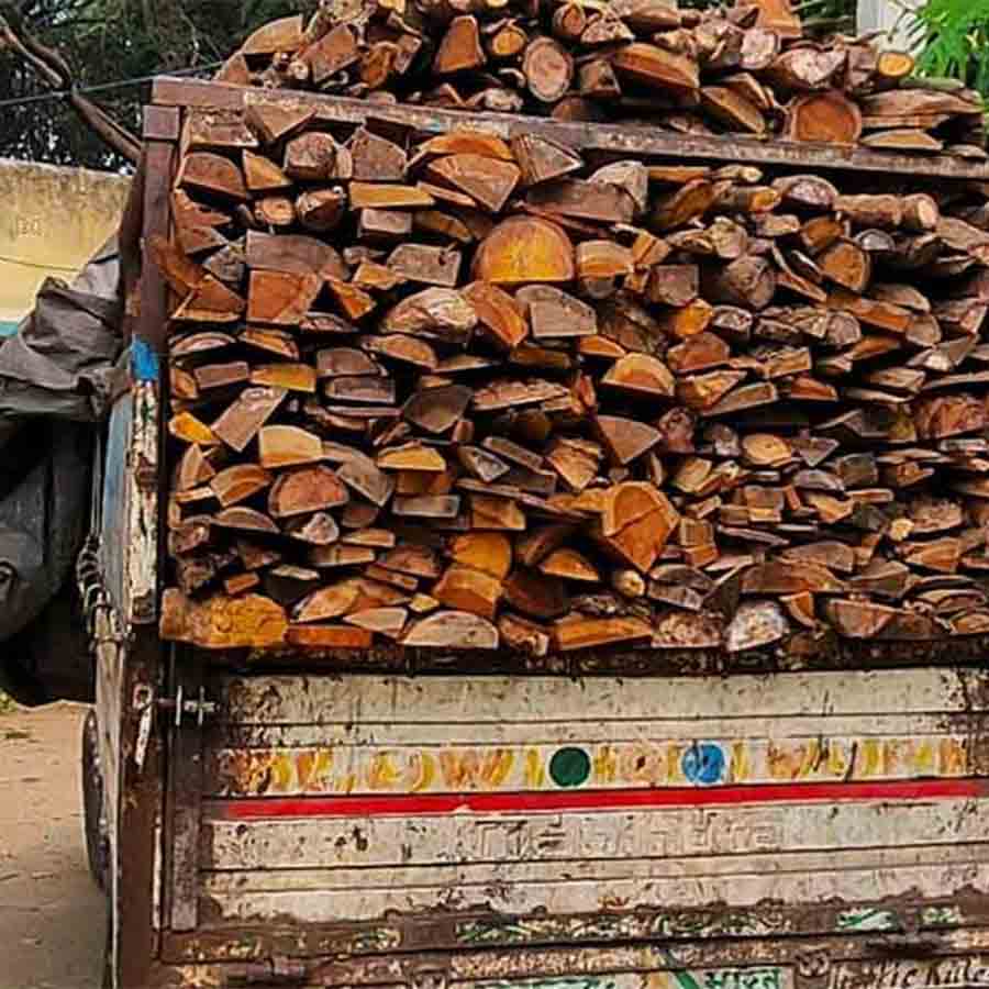 Forest Department workers injured after they tried to stop a wood smuggling at budbud