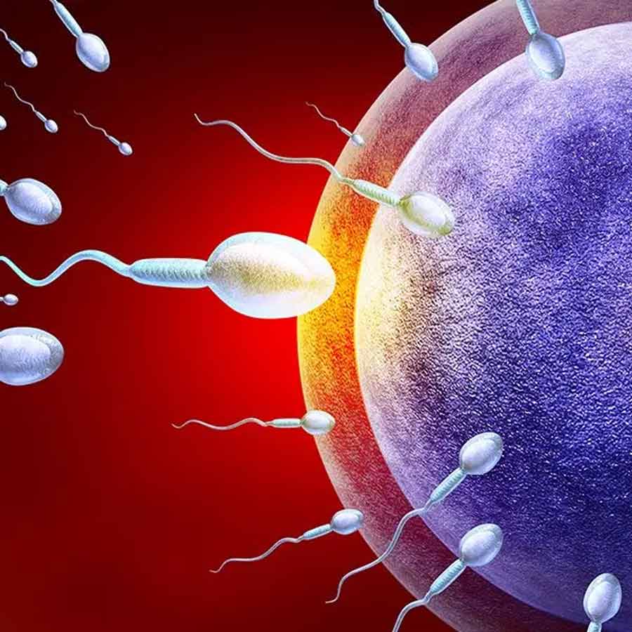 Male birth control discovered which can stop sperm production temporarily dgtl