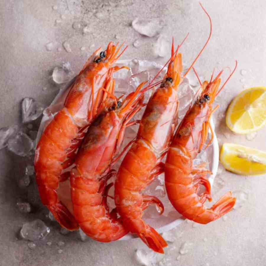 A virus normally found in marine animals such as shrimp and fish has now been linked to a chronic eye disease