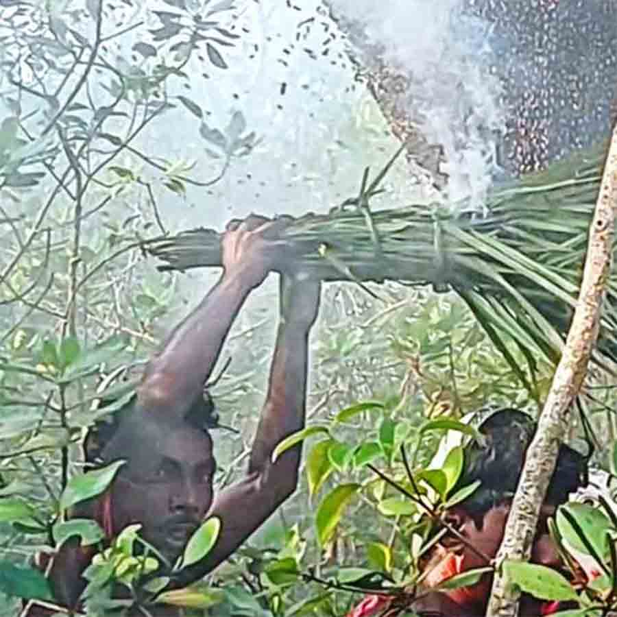 Honey collectors of Sundarbans are not much interested with upcoming election