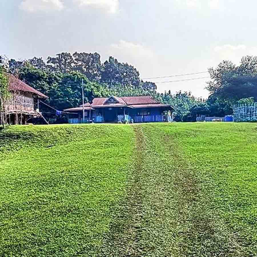 peace prevails in a village named Christian Para located at Amarpur Sub Division of Tripura