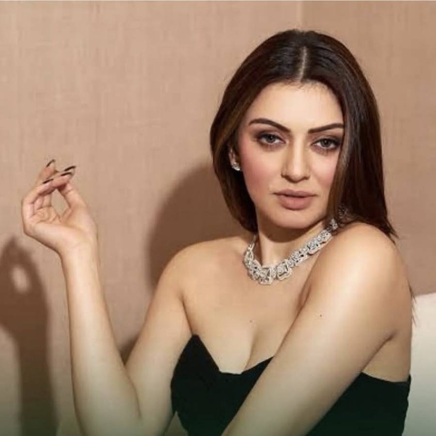 Hansika Motwani Files Defamation Case Against Ex Sister In Law dgtl