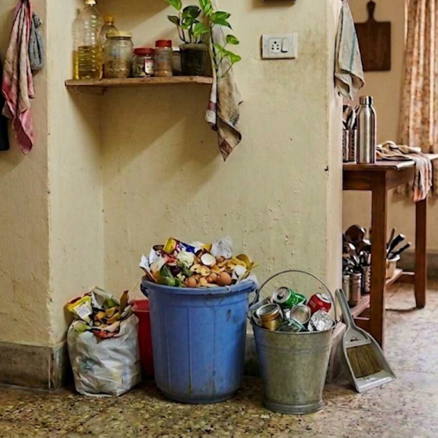Five negative effects of keeping garbage at home for long time dgtl