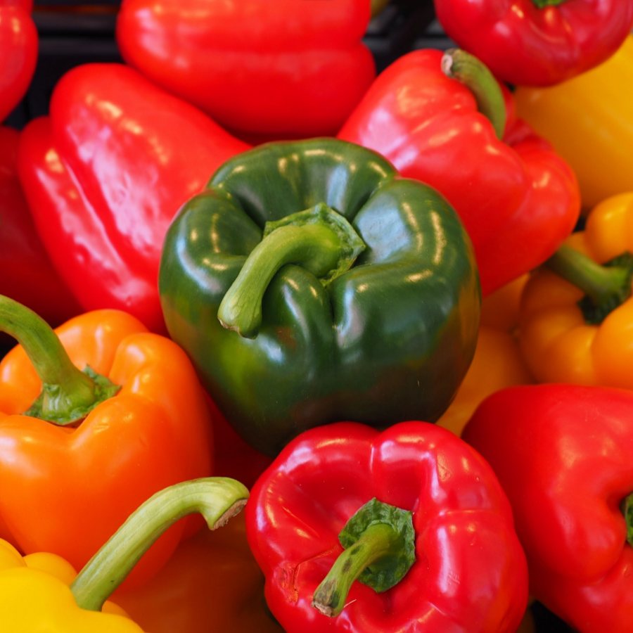 Actress Nauheed Cyrusi shares how to pick the right capsicum dgtl