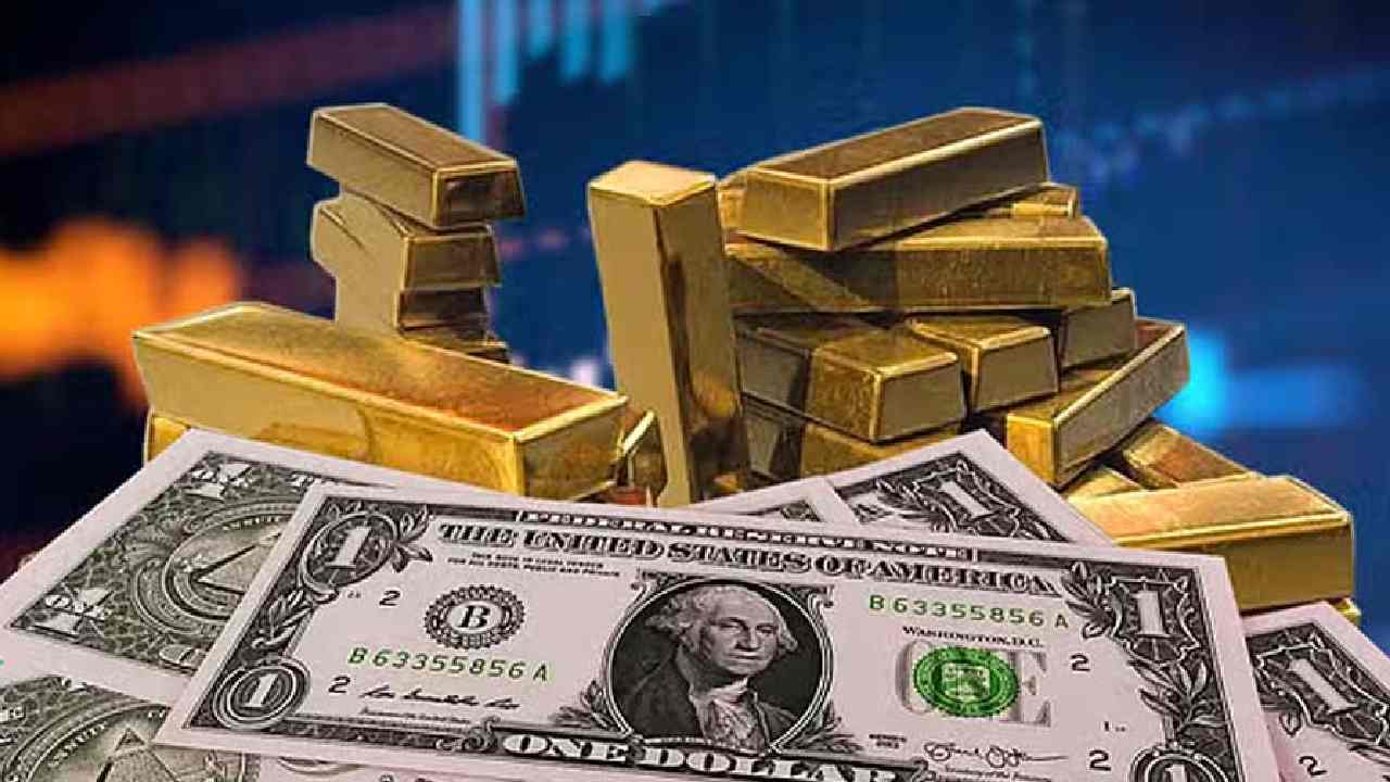 Representative Picture