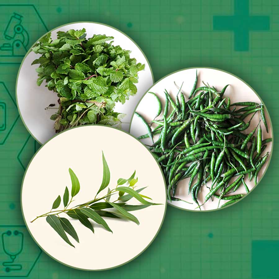 Mint, chilli, eucalyptus combo may fight inflammation better, new study says